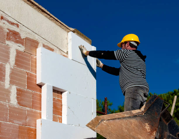 Best Energy Efficiency Insulation in Cologne, MN