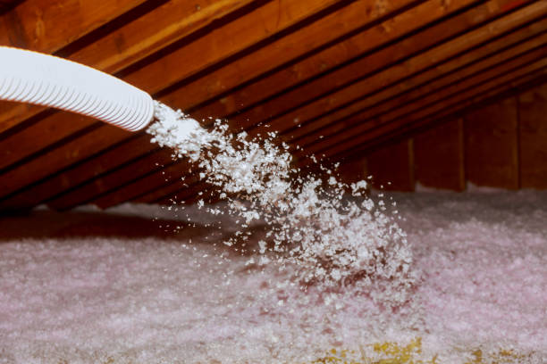 Professional Insulation Contractor in Cologne, MN