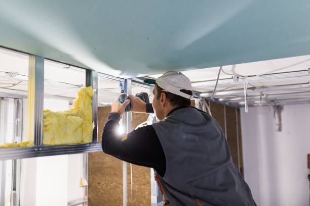 Best Eco-Friendly Insulation in Cologne, MN